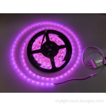 SMD5050 LED Strip Waterproof Flexible  Brightness 12v